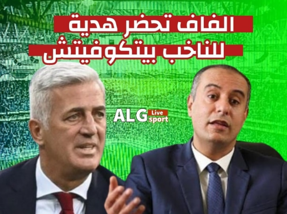 الفاف يُخطط لتجديد العقد و رفع راتب بيتكوفيتش مع الجزائر 2025