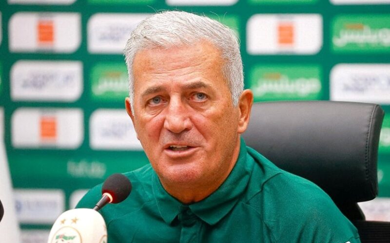 بيتكوفيتش يفرض 3 شروط لتواجد اللاعبين في تربص المنتخب الوطني
