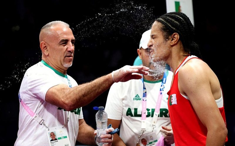 الملاكمة الجزائرية .. مواهب واعدة تنتظر البيئة المناسبة للتطور