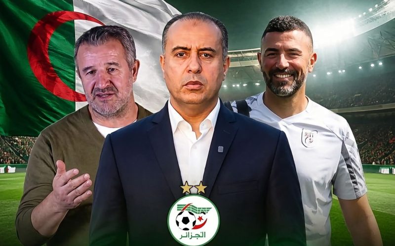 صادي يستعين بـ صايب وعنتر يحيى لبناء مرحلة ما بعد خيبة المونديال